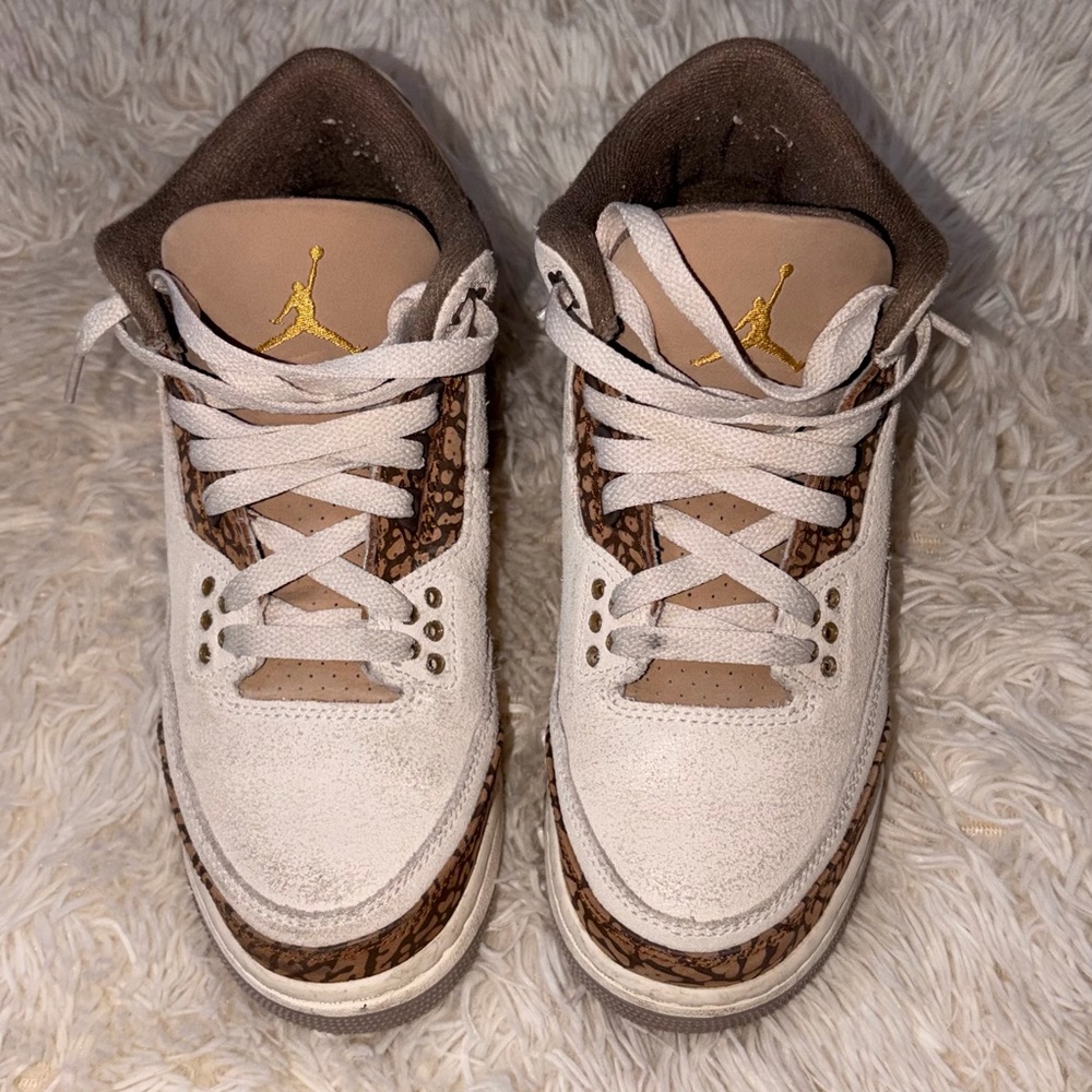 Jordan 3 Retro